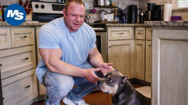 Bodybuilding Meals To Gain Weight | Bulking With Justin Compton 4 1746796356 maxresdefault